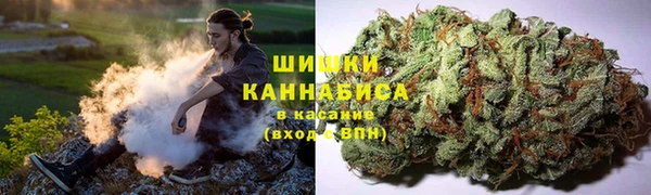 марки lsd Белокуриха