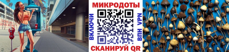 Псилоцибиновые грибы Psilocybe  Бородино 