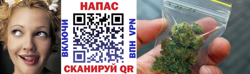Бошки Шишки MAZAR  OMG рабочий сайт  Бородино 